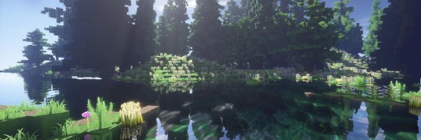 Profile cover